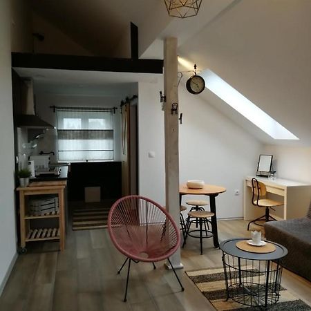 德雷兹尼克格雷德Studio Apartman Hana公寓 外观 照片