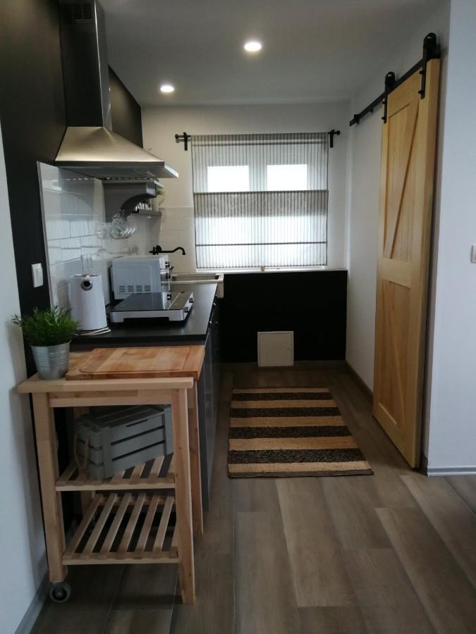德雷兹尼克格雷德Studio Apartman Hana公寓 外观 照片