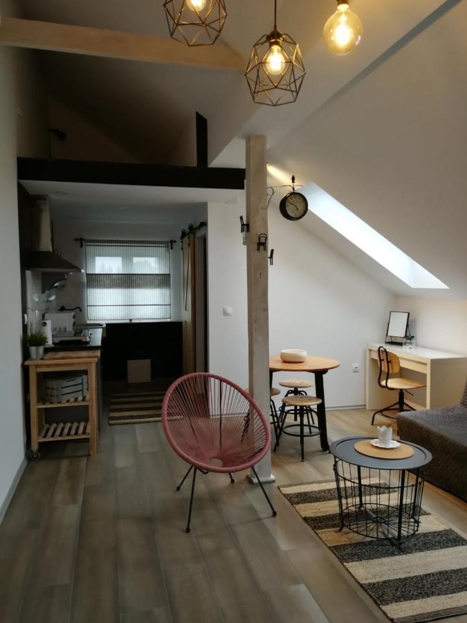 德雷兹尼克格雷德Studio Apartman Hana公寓 外观 照片