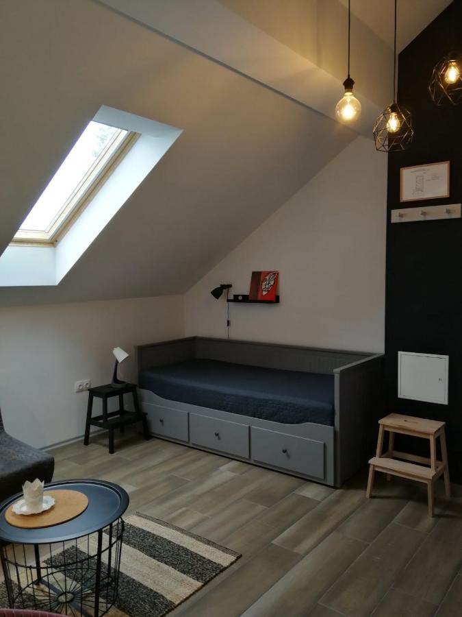 德雷兹尼克格雷德Studio Apartman Hana公寓 外观 照片