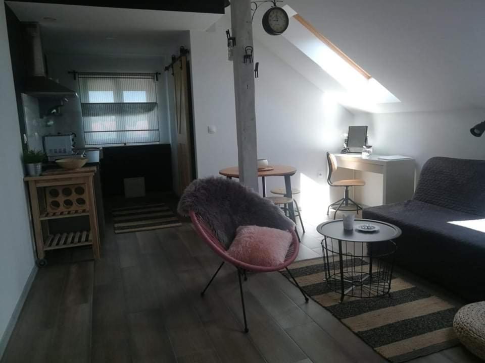 德雷兹尼克格雷德Studio Apartman Hana公寓 外观 照片